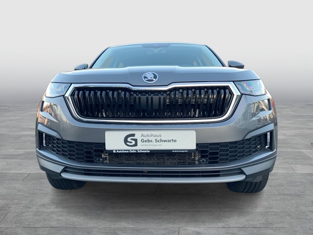 Skoda - Kodiaq 2.0 TDI DSG Tour ACC CAM LED NAVI SHZG_11