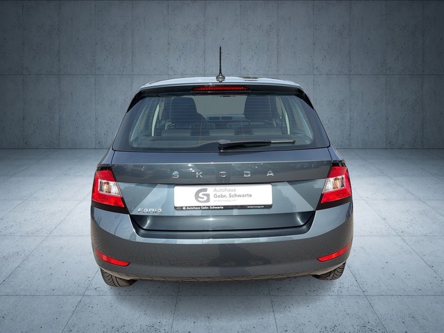 Skoda - Fabia 1.0 TSI Cool Plus AHK GJR KLIMA RADIO TEL_10