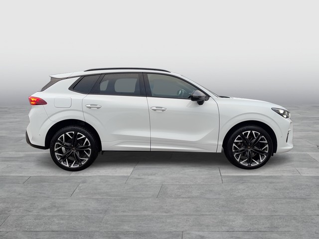 CUPRA - Terramar 2.0 TSI DSG 4Drive VZ AHK+DCC+Matrix_8