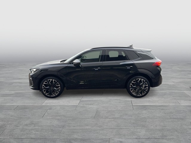 CUPRA - Terramar 2.0 TSI VZ 4D AHK Matrix Pano Sennh._8