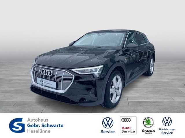 Audi - e-tron 50 quattro AHK+ACC+LED+NAVI+LUFTFAHRWERK_1