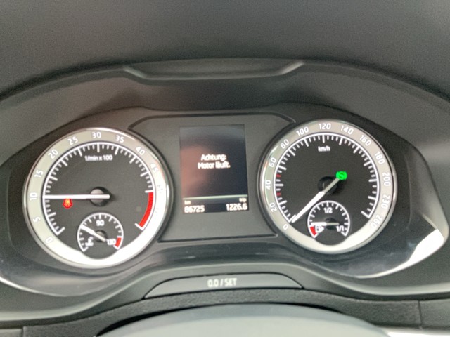 Skoda - Karoq 2.0 TDI 4x4 DSG Clever ACC AHK LED LM17_15