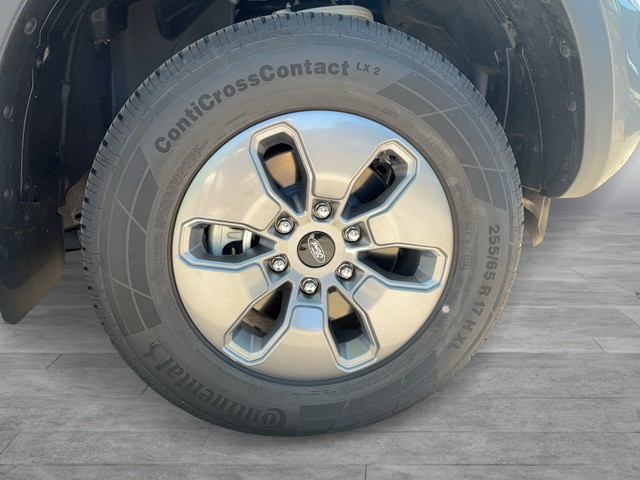 Ford - Ranger 2.3 EcoBoost PHEV XLT AHK Rollo RFK_9