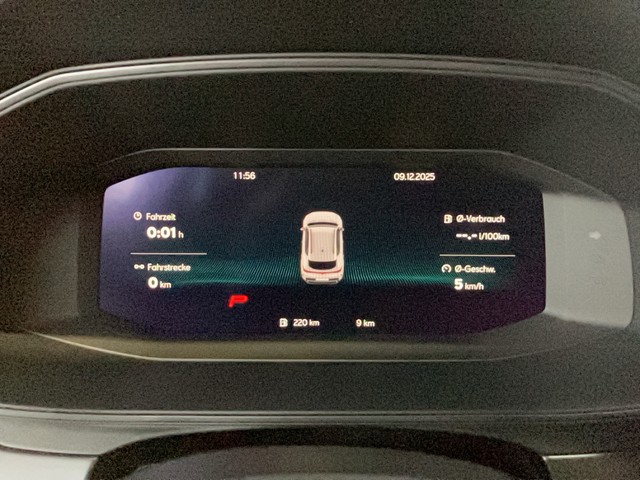 CUPRA - Formentor 2.0 TSI DSG 4Drive VZ Panorama+AHK+DCC_12