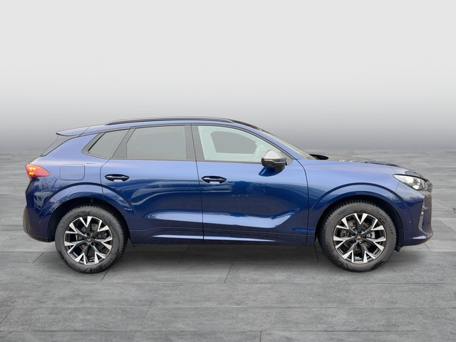 Audi - e-tron 50 quattro S line SH+LED+GRA+SPUR+CCS+19"_11