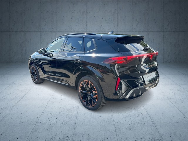 CUPRA - Terramar VZ 2.0 TSI DSG VZ 4Drive LED+NAVI+PANO_12