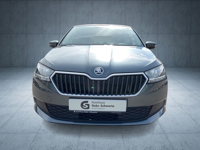 Skoda - Fabia 1.0 TSI Cool Plus AHK GJR KLIMA RADIO TEL_13