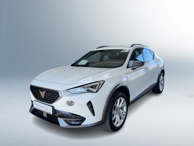 CUPRA Formentor 2.0 TSI DSG 4Drive LED+Rückfahrkamera