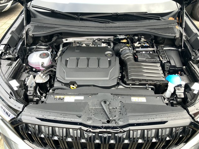 Skoda - Kodiaq 2.0 TDI DSG 4x4 Sportline AHK+PANO+7SITZE_10
