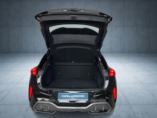 VW - Tiguan 2.0 TDI DSG Life Kamera+Navi+Sitzhzg._4 VW - Tiguan 2.0 TDI DSG Life Kamera+Navi+Sitzhzg._4