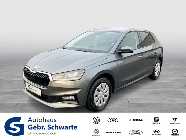 Skoda - Fabia 1.0 TSI Selection AHK CAM LED NAVI SHZG_1