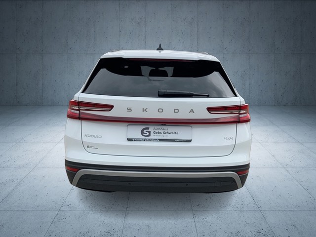Skoda - Kodiaq 2.0 TDI 4x4 DSG Selection HUD+RFK+AHK+LED_9