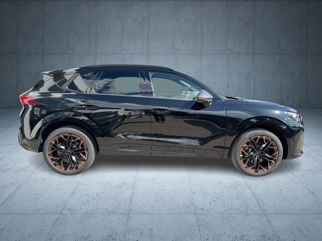 CUPRA - Terramar VZ 2.0 TSI DSG VZ 4Drive LED+NAVI+PANO_14