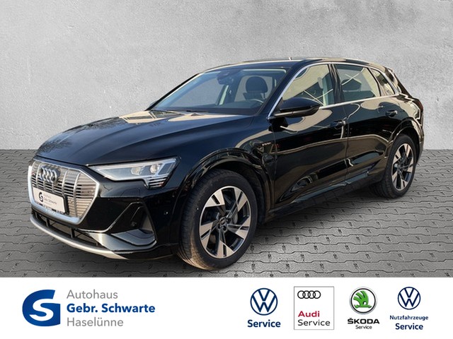 Audi e-tron 50 S line quattro AHK+LUFT+LED+NAVI